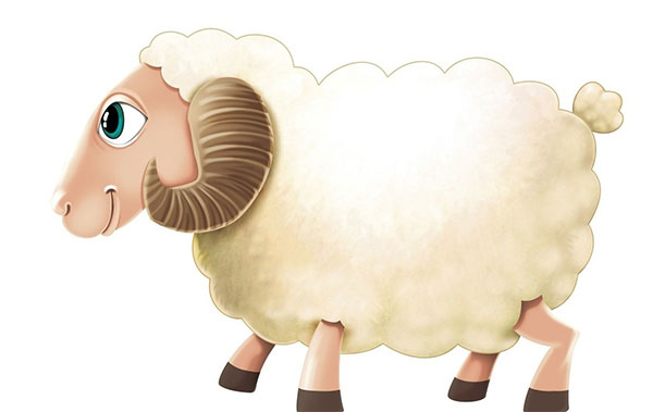 史上最励志的一只羊，很不普通的一只养，感动(视频)