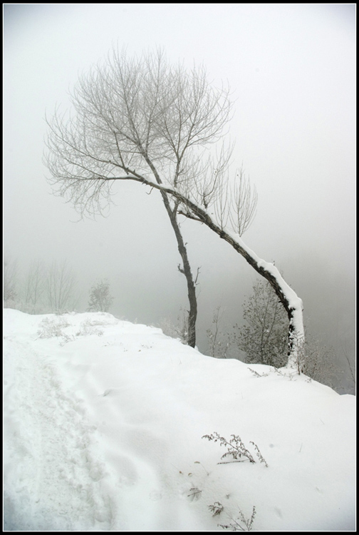 描写雪的优美好段 喜欢它的晶莹剔透，喜欢它的洁白无瑕