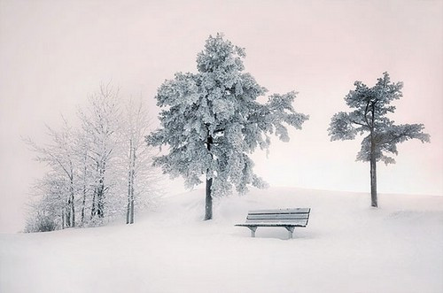 描写雪的优美句子 洁白的雪，我爱你，我爱你的纯洁