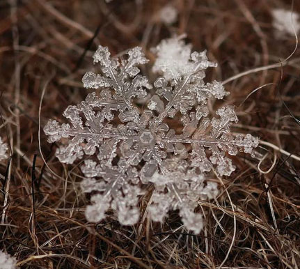 雪花