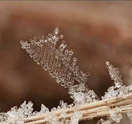 雪花