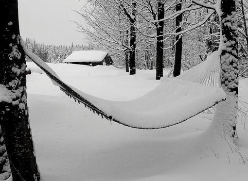 冬天关于雪的优美句子 雪，温暖了整个冬天