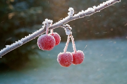 关于雪的伤感句子