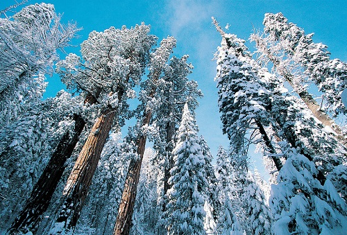 形容冬天雪景的句子