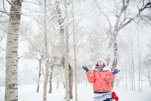 描写雪的唯美句子