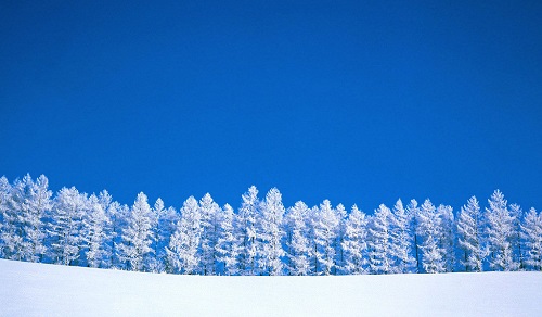 描写冬天雪景的段落