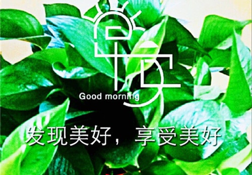 值得共勉的早安说说配图(精选28句)