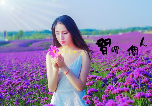 优美句子摘抄大全20字左右