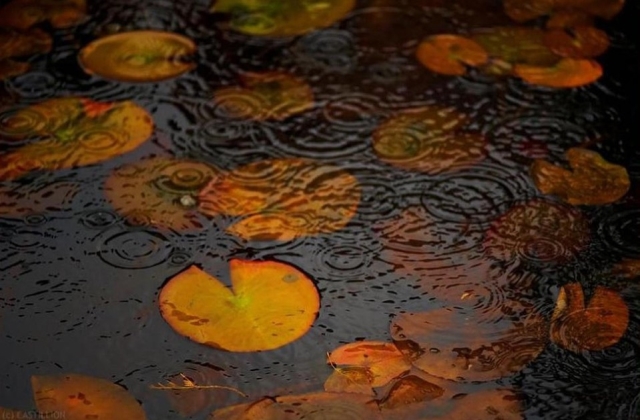 下雨抒发心情不好的说说(精选30句)