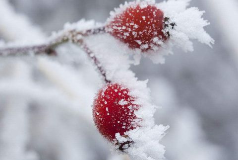 2018有关霜降的个性说说经典大全 霜降是二十四节