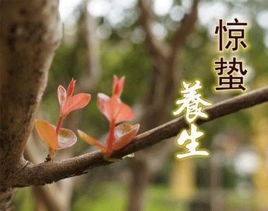 惊蛰时节最暖心的微信祝福语 2021惊蛰简短祝福语