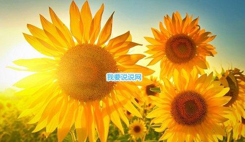 女神节对老婆说的话 祝福美女节日快乐简短(精选15句)