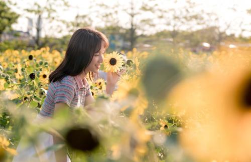 阳光般的心态的句子 女人心态阳光的句子40句