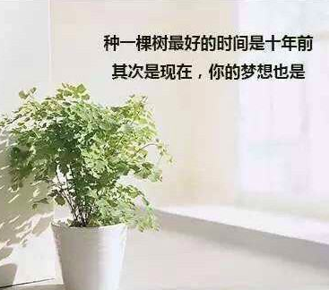 种一棵树最好的时间是十年前，其次是现在(精选3句)