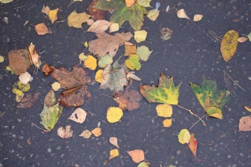 适合下雨天发正能量的朋友圈 微信下雨天朋友圈(精选37句)