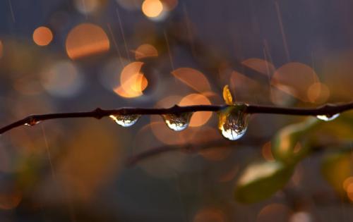 适合雨天带诗意的句子 下雨的有意境的短句子(精选33句)