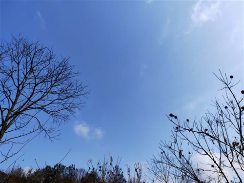 下了几天雨终于出太阳了的说说(精选13句)