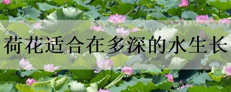 谷雨时节送祝福 你的幸福是我最大的安慰(精选21句)