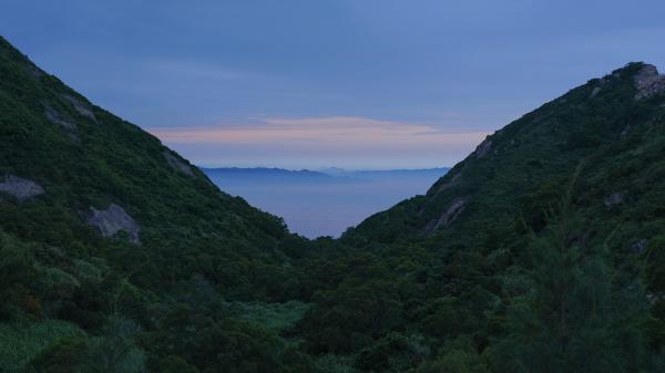 惊艳他人的古风诗句 疏影横斜水清浅,暗香浮动月(精选12句)