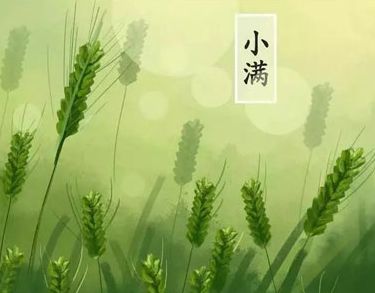 小满节气早安祝福语 2021小满的空间早安说说精选