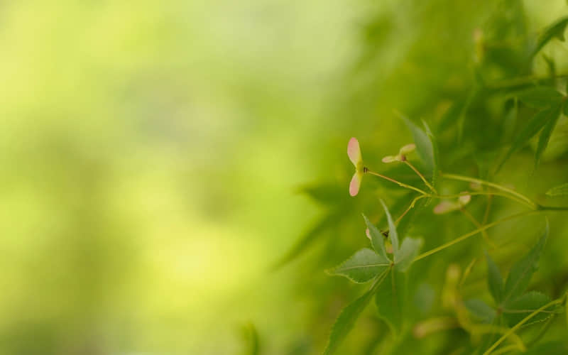 超拽霸气说说：找不到适合的伞，姐宁愿淋雨(精选23句)