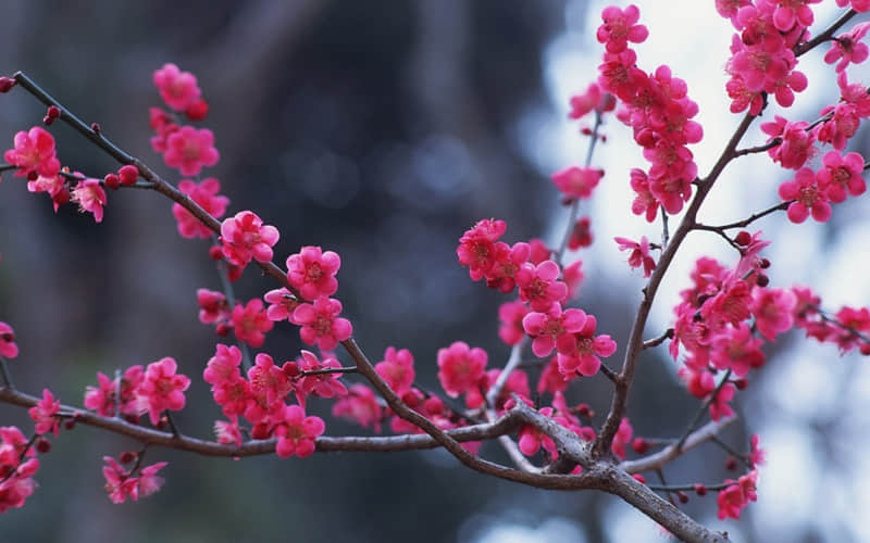 万圣节快乐的句子 万圣节祝福语怎么写(精选13句)