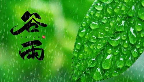 描绘谷雨的优美语句2021 谷雨的好词好句