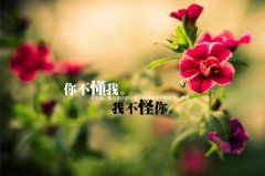 夫妻吵架后的伤感语录(精选33句)